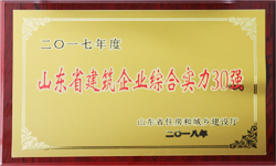 泰安市藍(lán)天助劑有限公司